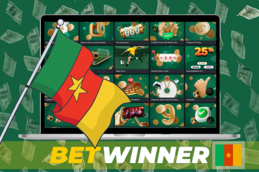 Découvrez les services proposés par Betwinner Bookmaker